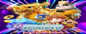 SPINIXVIP
