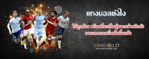แทงบอลยังไง